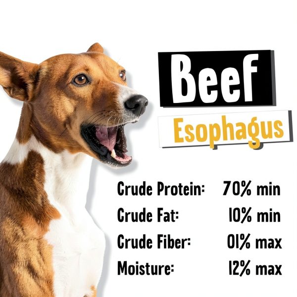 Raw Dog Beef Gullet Chips Treats 8 oz All-Natural Odor-Free Premium-2