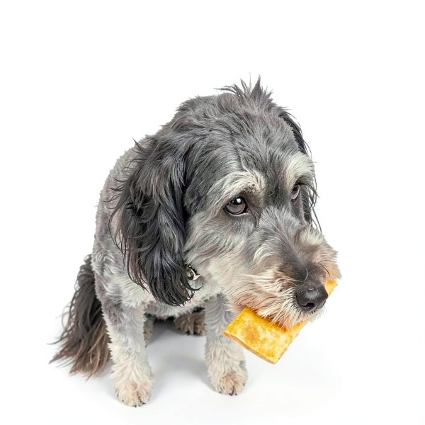 Fieldcrest Farms Dog Chew Chips Collagen Salmon Flavor 8 Pack-4