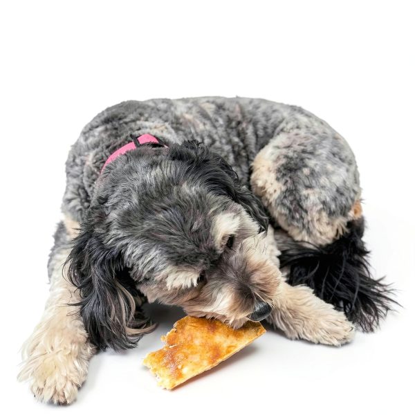 Fieldcrest Farms Nothin to Hide Flip Chips Dog Chews - Natural Rawhide Alternative Treats for Dogs, Collagen Based Snack for Moderate Chewers Up to 35lbs, Chicken Flavor - 2 Packs (16 Chips)-12