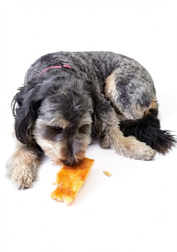 Fieldcrest Farms Dog Chew Chips Collagen Salmon Flavor 8 Pack-9